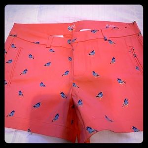 Pink shorts w/ blue birds
